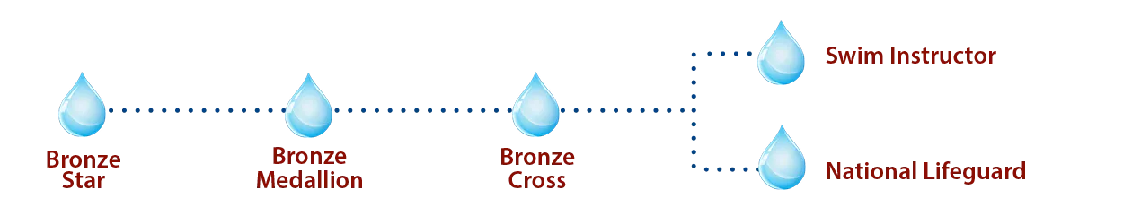 Bronze Star to Bronze Medallion to Bronze Cross then either Swim Instructor or National Lifeguard