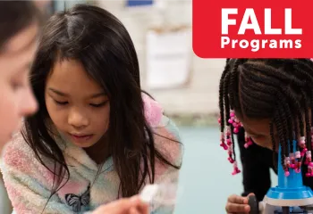young kids looking through microscope - Fall Programs