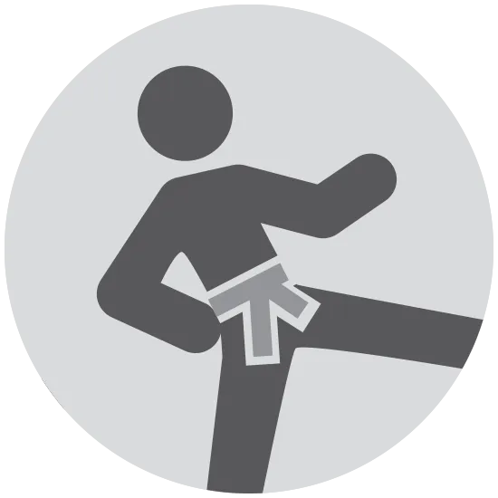 [Image] Icon showing kid doing karate kick